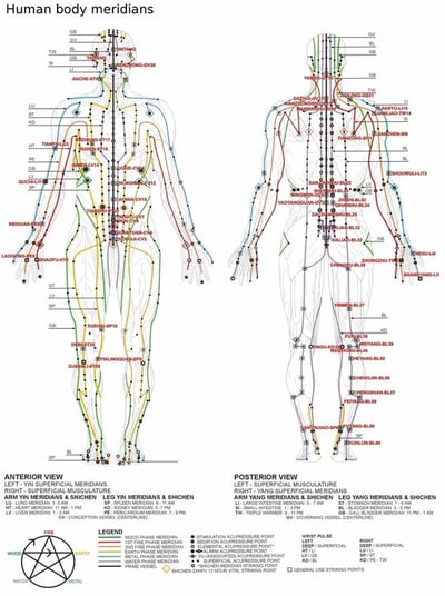 12 Major Meridian Chart-Acupuncture College-Florida 