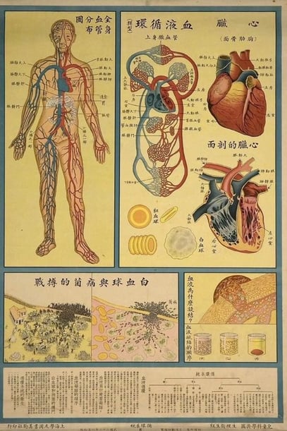 Traditional-Chinese-Medicine-body-florida-acupuncture-program