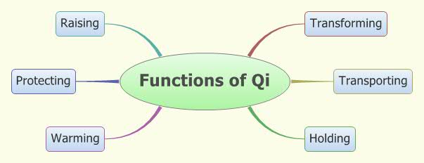 Functions-Qi-School-Acupuncture-Florida