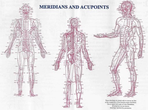 Meridian Point Chart-Acupuncture School-Miami, FL
