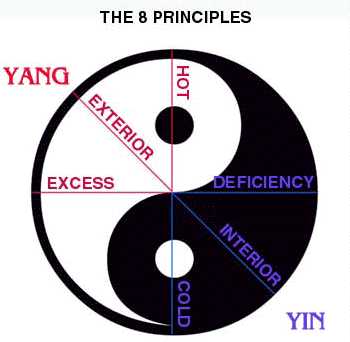 Eight-Principles-Traditional-Chinese-Medicine