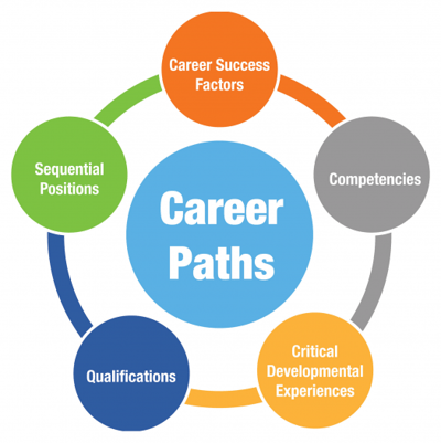 Career-Path-Components