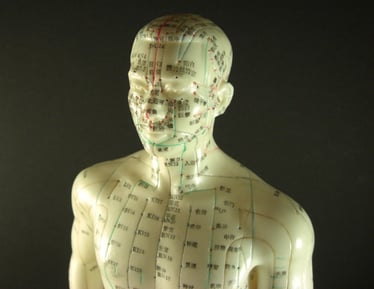 Acupuncture Model