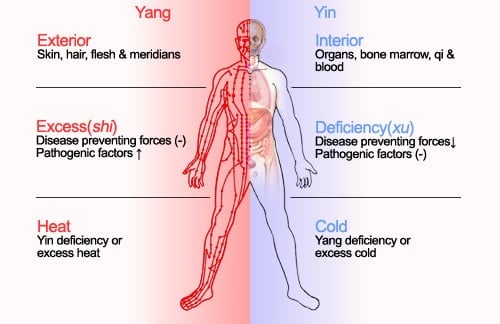 Chinese Medicine Emotions Organs Chart