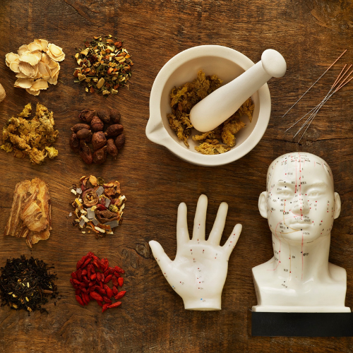 degree-oriental-medicine-acupuncture-herbal-medicine