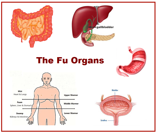 Fu Organs