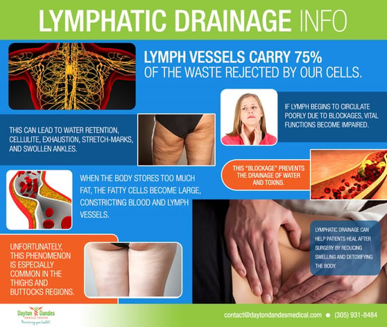 Lymphatic-Drainage-Chart-Massage-School-Miami