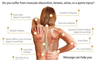 Massage Therapy Anatomy 