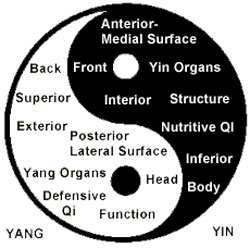 yin-yang-tcm-miami-acupuncture-school