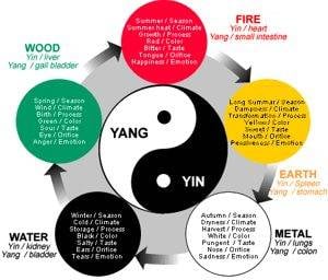 yin-yang-wu-xing-tcm-generating-cycle-oriental-medicine